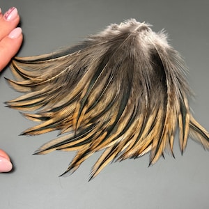 40 pcs Rooster feathers Natural feathers Jewelry feathers Earring feathers Rare feathers Soft feathers Loose feathers Green feathers