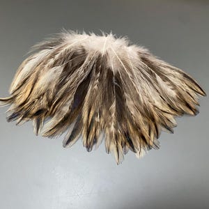 50 pcs Amazing rooster feathers Striped feathers Gray feathers Green feathers Soft feathers Hat decor Earring making supplies Hat pin
