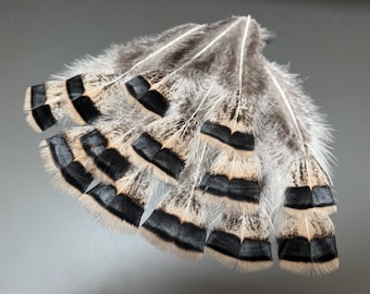12 pcs Amazing turkey feathers Natural feathers Jewelry feathers White feathers Soft feathers Loose feathers Hat decor Smudge fan Wedding