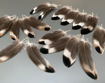 20 pcs Small Duck feathers Spotted feathers Miniature feathers Jewelry feathers Earring feathers Black feathers Mallard duck feathers Rare 20 pcs Small Duck feathers Spotted feathers Miniature feathers Jewelry feathers Earring feathers Black feathers Mallard duck feathers Rare