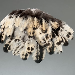 40 pcs Rooster feathers Natural feathers Jewelry feathers Striped feathers Spotted feathers Loose feathes Black feathers White feathers