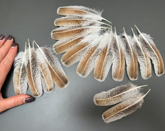 16 pcs Turkey feathers Beige feathers Brown feathers Medium feathers Hat decor Amazing feathers Soft feathers Smudge fan Pen feathers