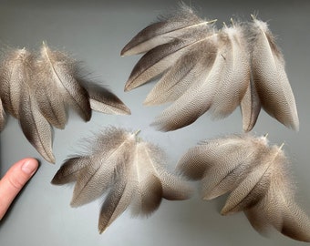22 piezas Plumas de pato Plumas grises Plumas manchadas Plumas beige Plumas increíbles Plumas de pájaro reales Plumas de sombrero Plumas sueltas Increíble
