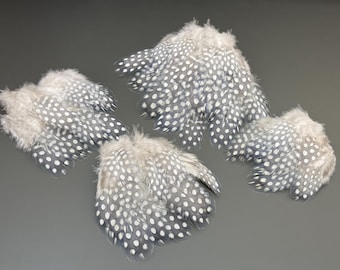 50 pcs Lavander guinea fowl feathers Gray feathers Spotted feathers Feathers for crafts Amazing feathers Cruelty free feathers Dreamcatcher