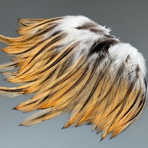 70 pcs Striped rooster feathers Orange feathers small fathers Loose feathers Hat decor Amazing feathers Real bird feathers Smudge fan