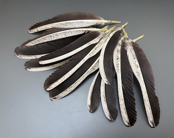 12 pcs Rooster feathers Natural feathers Jewelry feathers Rare feathers Hat decor Amazing feathers Loose feathers Soft feathers Smudge fan