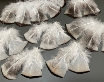 30 pcs Turkey feathers Gray feathers Striped feathers Natural feathers JEwelry feathers Earring feathers Real bird feathers Soft feathers