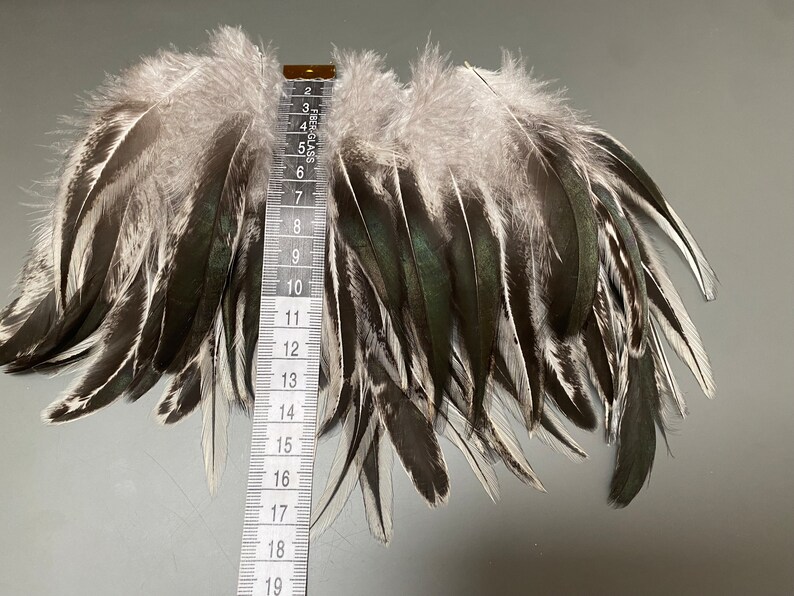 40 Pcs Rooster Tail Feathers Jewelry Feathers Real Bird Feathers Gray ...