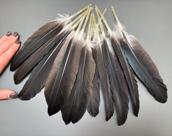 12 pcs Long feathers Real bird feathers Smudge feathers Feather decor rare feathers Soft feathers Pen feathers Black feathers Amazing feathe