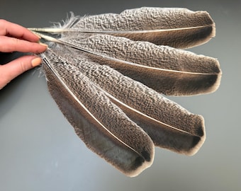 4 pcs Turkey wing feathers Natural feathers Jewelry feathers real bird feathers Feathers for crafts Brown feather Smudge fan Hat decor