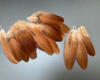 25 stks Oranje veren Natuurlijke veren Losse veren Zachte veren Smudge veren Hoedveren Geweldige veren Echte vogelveren Los