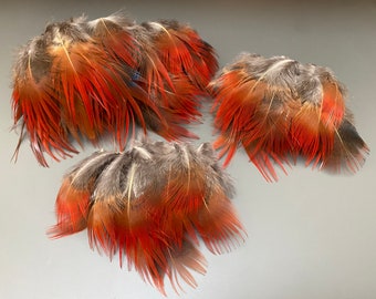 80 pcs Plumes de faisan Plumes rouges Plumes pour bijoux Petites plumes Plumes lâches Plumes pour chapeaux Véritables plumes d'oiseaux Plumes naturelles Boho