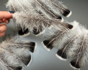 12 piezas Plumas de pavo Plumas para manualidades Plumas suaves Plumas esponjosas Cola de pavo Plumas beige Plumas naturales Plumas sueltas