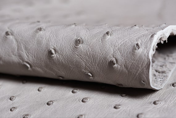 OSTRICH LEATHER taupe fianoleather