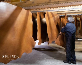 Pflanzlich gegerbtes Leder Klassische Leder von Vachetta