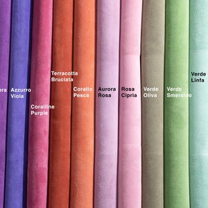 Può includere: Una collezione di campioni di tessuto in vari colori, tra cui tonalità di grigio, viola, arancione, rosa, verde e giallo. Ogni campione è etichettato con il suo nome di colore, come "Terracotta Bruciata" e "Giallo Zafferano".