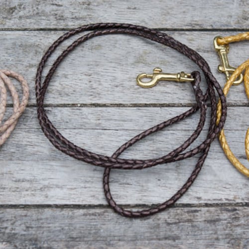Dog Show Lead Braided 4mm Leather With a Trigger Clip Etsy
