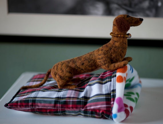 Brindle Miniature Smooth Haired Dachshund With Her Snuggle Etsy