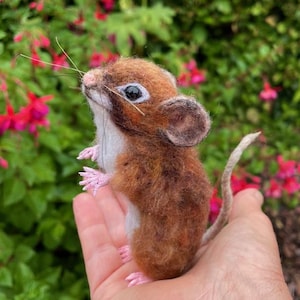 Peut inclure: Une souris en feutre faite à la main, principalement marron et blanche, avec des pieds roses et une longue queue. La souris a de grands yeux sombres et de longues moustaches. Elle est tenue dans une main, avec un arrière-plan flou de feuillage vert et de fleurs roses.