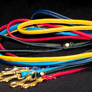 May include: A set of six leather leashes in various colors, including black, navy blue, yellow, and red. Each leash has a gold-toned metal hook.