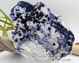 Blueberry Fluorite Museum Quality Large Specimen Druzy Dark Blue Fluorite Inner Mongolia