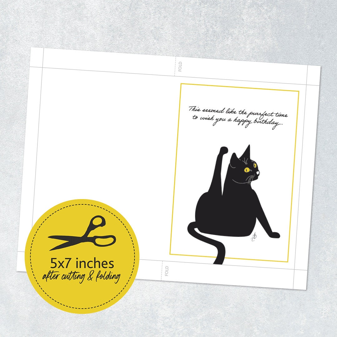 Funny Cat Birthday Card Funny Cat Printable Birthday Card Birthday ...