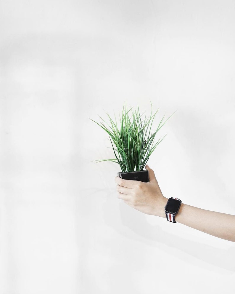 May include: A hand holding a small potted plant with green grass. The hand is wearing a black smartwatch with a red and white striped band.