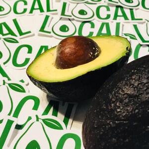 May include: A halved avocado with a large seed and a whole avocado next to it. Both avocados are green and have a dark green skin. The avocados are on a white surface with green and white stickers that say "Local" on them.