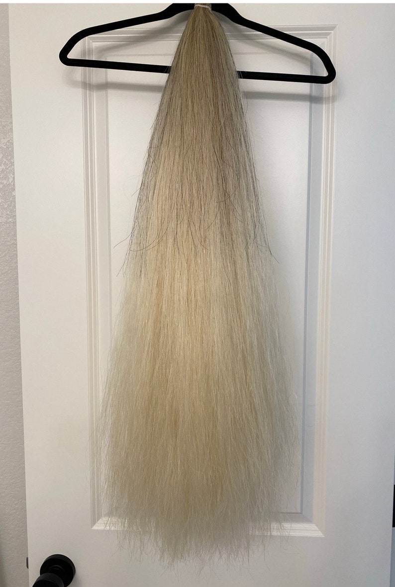 Custom Horse Hair Tail Extension 4042 Etsy
