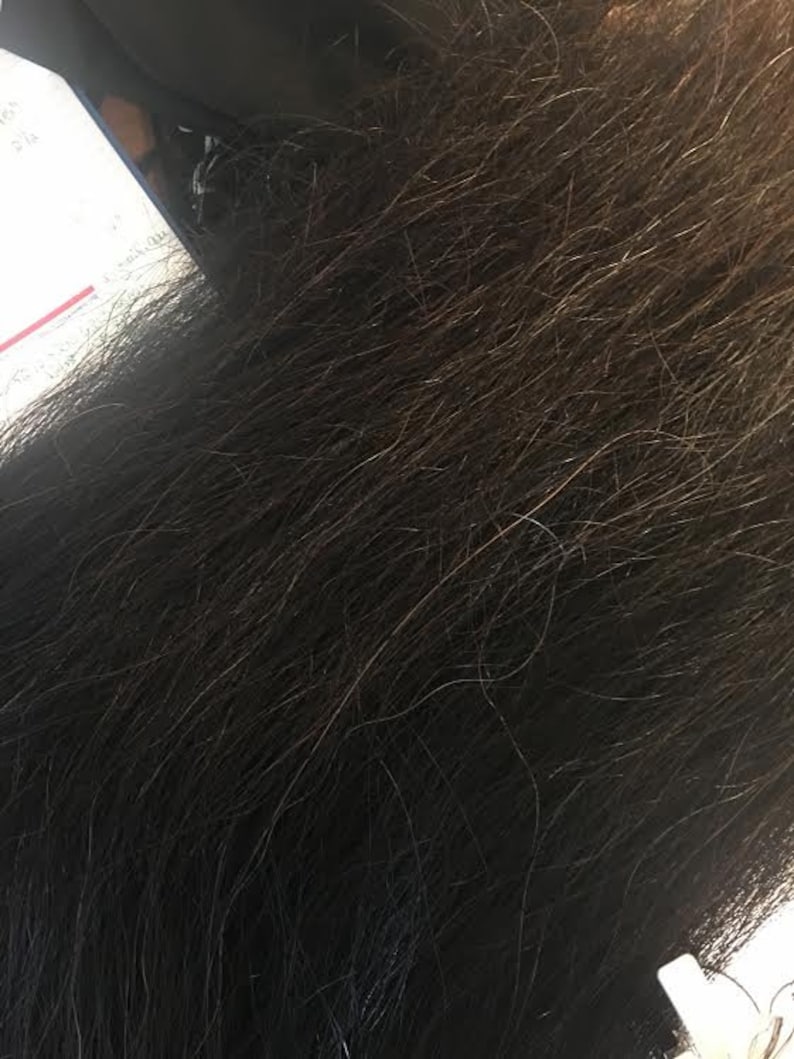 Custom Horse Hair Tail Extension 4042 Etsy