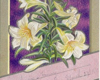 Easter Lilies on Easter Greetings Embossed 1910 Antique POSTCARD