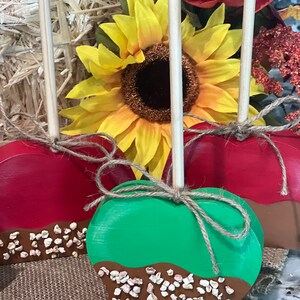 Pu&ograve; includere: Decorazioni in legno a forma di mela in rosso e verde, che ricordano le mele caramellate. Ognuna ha un bastoncino di legno ed &egrave; adornata con una base di 'caramello' marrone cosparsa di pezzi bianchi e beige. Legate con spago, sono su juta.