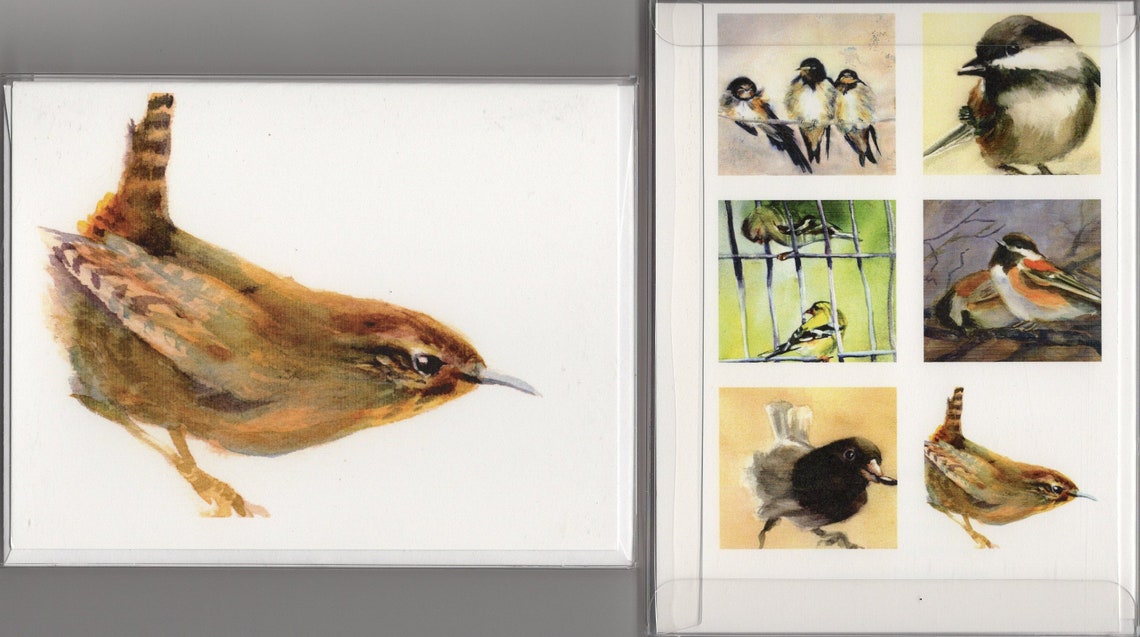 Bird 1 6 assorted note cards with envelopes Bonnie White Etsy