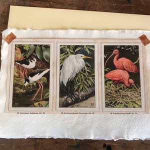 Cards made of old Picturecards album