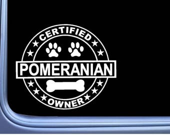 Certified Pomeranian L290 Dog Sticker 6/" decal