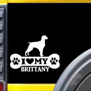 Brittany Spaniel Bone L048 8&quot; sticker dog Window Decal