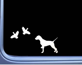 English Pointer 2 Quail L450  inch shorthaired dog Window Decal