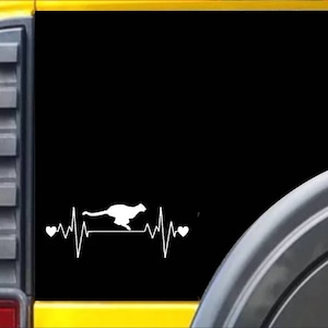 Cheetah Lifeline Window Decal Sticker *I692*