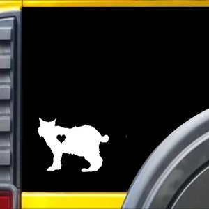 Bobcat Window Decal Wildcat Sticker *J464*