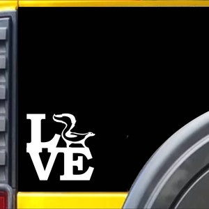 Adesivo Skunk Love K547 in vinile con gabbia per finestre
