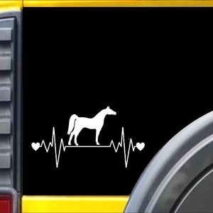 Arabian Horse Lifeline Window Decal Sticker *I170*