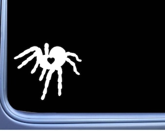 Tarantula lil heart M232  Sticker spider decal arachnid