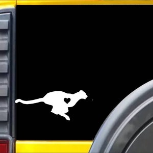 Cheetah Window Decal Sticker *J457*