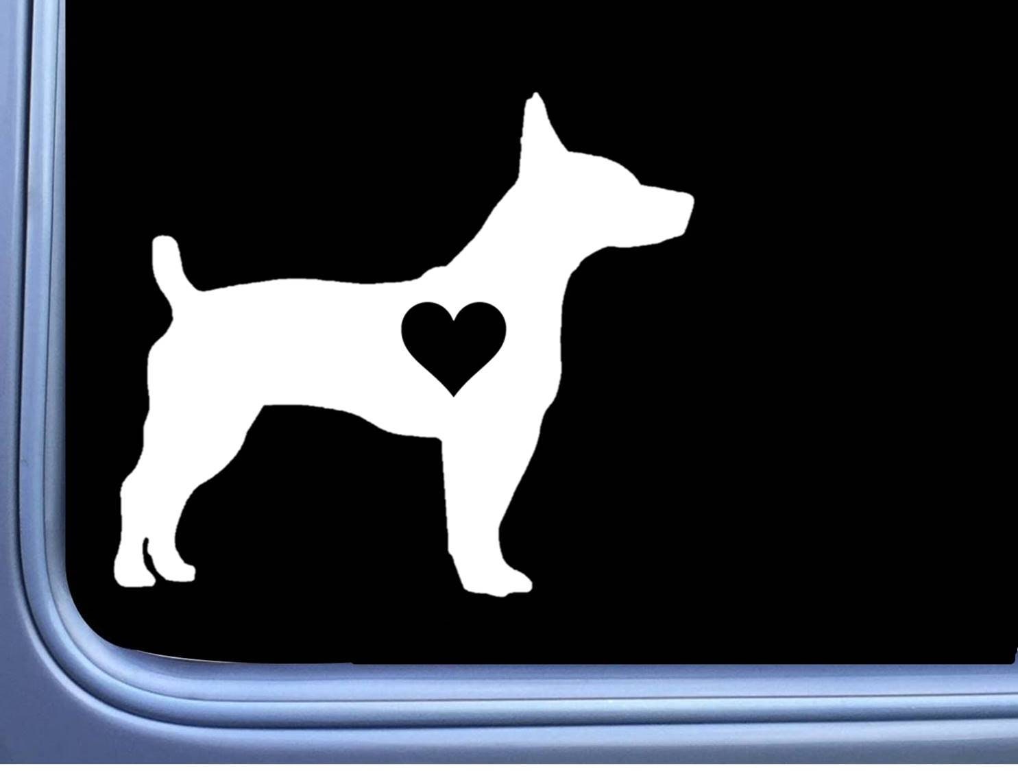 Teddy Roosevelt Dog Canada - Main Image