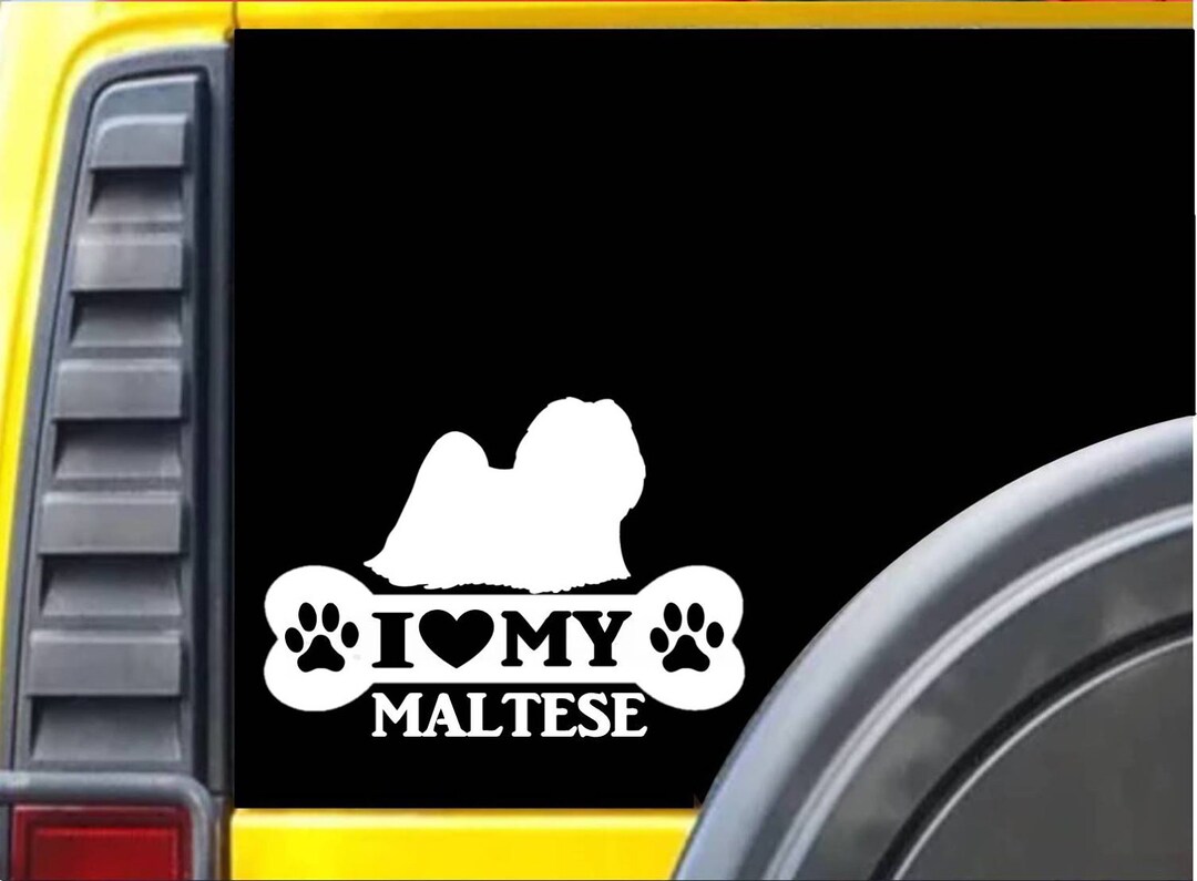 Linea Di Battito Cardiaco Su Un Fondo Bianco Illustrazione EPS10 Di - Foto 3