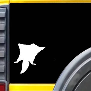 Sugar Glider Flying Squirrel Window Decal Sticker *H952*