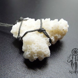 May include: A white coral pendant with a black cord tied around it. The coral is a natural, organic shape with a porous texture.