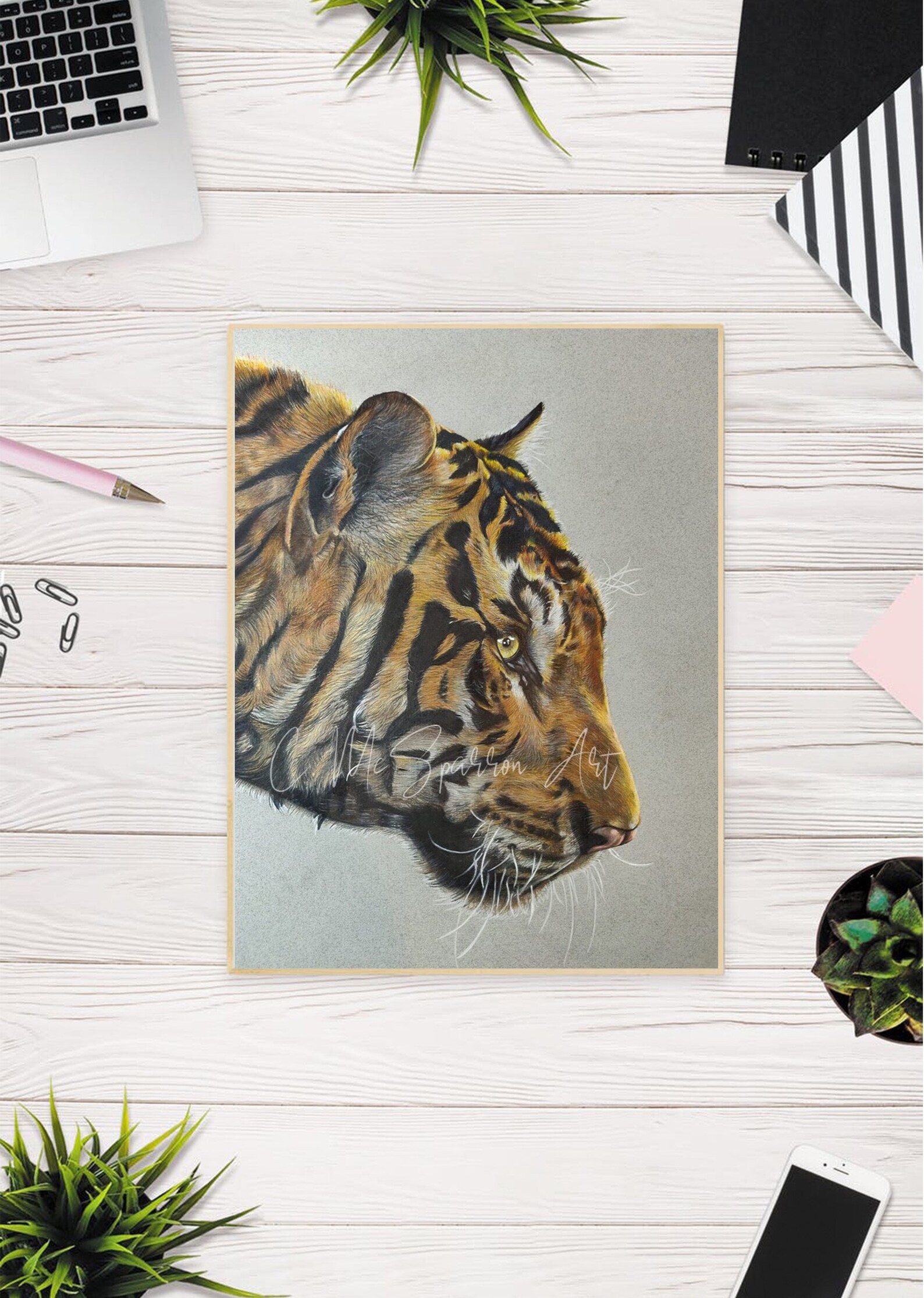 Tiger Drawing Print A4 Cmcsparronart - Etsy