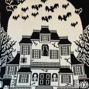 Può includere: Arazzo da parete in crochet bianco e nero con una casa infestata spettrale con una luna piena e pipistrelli sullo sfondo. La casa ha finestre, una porta e una recinzione. Ci sono anche scheletri e zucche nella scena.