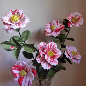Easy Camellia Japonica - Flor de papel - Plantillas - Video Tutorial - Entrega Digital - SVG - Silueta - Scan&Cut - DIY